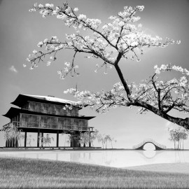 каталог фотообоев